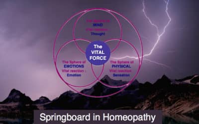 Springboard in Homeopathy (23 avil 2016)
