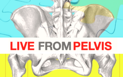 Live from pelvis (13-14 mars 2021)