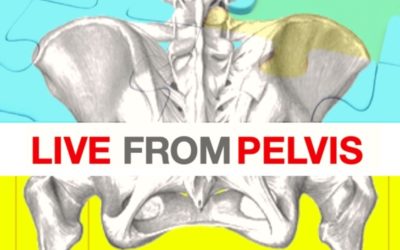 Live from pelvis (9-10 oct 2021)